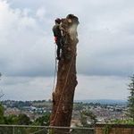 Chris Coxall - @teignfirewood - Instagram