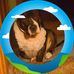Chris Craine - Facebook