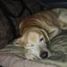 Chris Cramer - Facebook