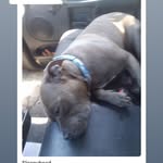 Chris Crandall - @crandall9770 - Instagram