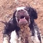 Chris Cranmer - @ilikechops - Instagram