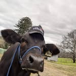 Chris Cranston - @farmercranno - Instagram