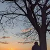 Chris Cranston - @chris.cranston4 - TikTok