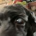 Christina Craver - Facebook