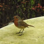 Christine Crawshaw - @christine.crawshaw.927 - Instagram