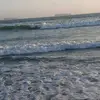 Chris Crayton - @chriscrayton1 - TikTok