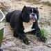 Chris Creech - Facebook