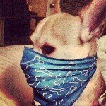 Chris - @chris_creek - Instagram