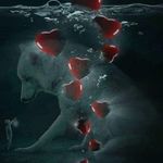 Chris Creel - @chris.creel.16144 - Instagram