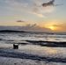 Chris Crerar - Facebook