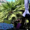 Chris Crespin - @chris.crespin3 - TikTok