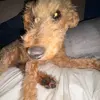 Chris Crews - @chris.crews - TikTok