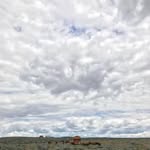 Chris Maurer Crisler - @crislers - Instagram