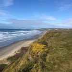 Chris Crisman - @chriscrisman - Instagram