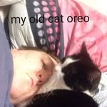 Chris Robyn Crispin - @gizmoegamingyt - Instagram