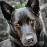 Chris Critchley - @chris_vizion - Instagram