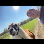 Chris Cromwell - @chris_cromwell - Instagram