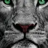 Chris Cromer - @cromer78133 - TikTok