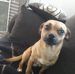 Chris Cron - Facebook