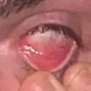 Chris Crossey - @chris.crossey - TikTok