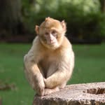 Chris Croucher - @c.c.croucher - Instagram