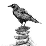 Chris Crow - @themistikcrow - Instagram