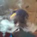 Christopher Cruickshank - Facebook