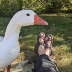 Christiana Stone Cruver - @stonecruver - Instagram