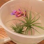 Christina Cruver - @one_hot_bakingmamma_420 - Instagram