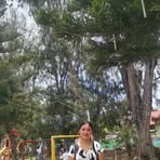 Chris Ann Dump - Facebook
