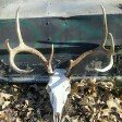 Chris Cryer - @cryeroutdoors - Instagram