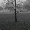 Chrissy Cubby - @chrissy1698 - TikTok