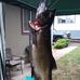 Chris Cudaback - Facebook