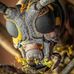 Chris Cudaback - Facebook
