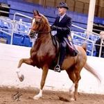 Chris Culbreth - @culbrethchris - Instagram