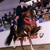 Chris Culbreth - @user707075439 - TikTok