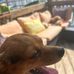 Chris Culbreth  - Facebook