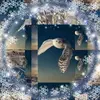 chrisculkin960 - @chrisculkin960 - TikTok