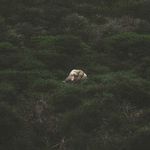 Christian Culkin - @christian.culkin.183 - Instagram