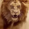 Chris Culliver - @chris.culliver - TikTok