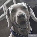 Chris  Cullum - @cullum404 - Instagram