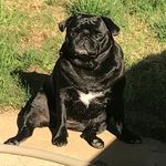 Chris Cullum - @zbub417 - Instagram