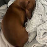 Christian Culmone - @christianculmone - Instagram