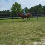 Chris Culpepper - @chris.culpepper.946 - Instagram