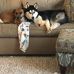 Chris Cuneo - Facebook