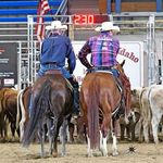Chris Johnsrud Cutting Horses - @chrisjohnsrudcutting - Instagram