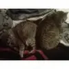 christopherdakin - @christopherdakin - TikTok
