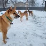 Chris Dalby - @chris.dalby.77 - Instagram