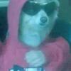 chrisdales - @chrisdales64 - TikTok