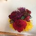 Christine D'Alfonso Paone - Facebook